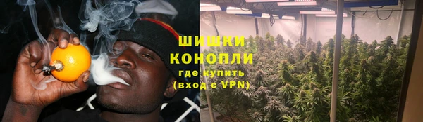 ПСИЛОЦИБИНОВЫЕ ГРИБЫ Зеленокумск