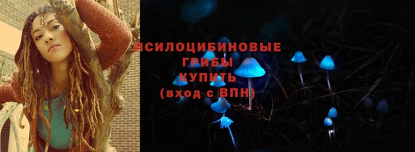 винт Инта