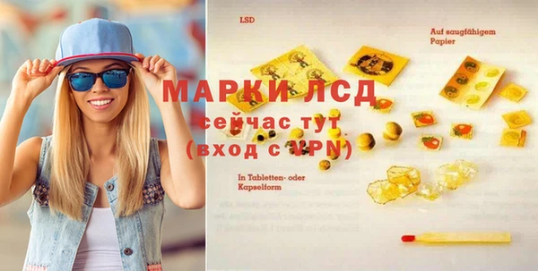 ПСИЛОЦИБИНОВЫЕ ГРИБЫ Зеленокумск