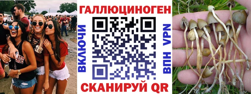 Галлюциногенные грибы Magic Shrooms  Купить  Жердевка 